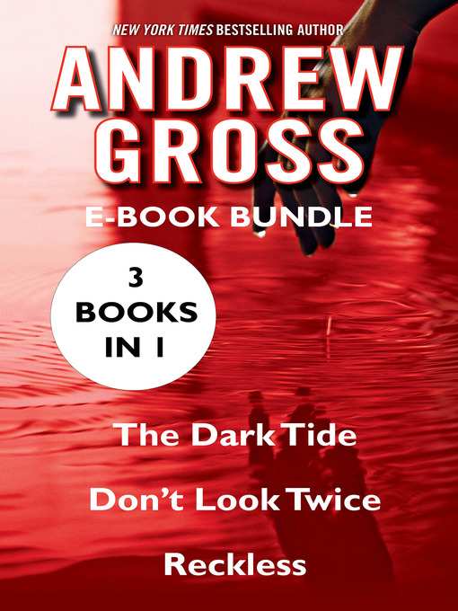 Title details for Andrew Gross Hauck Bundle by Andrew Gross - Wait list